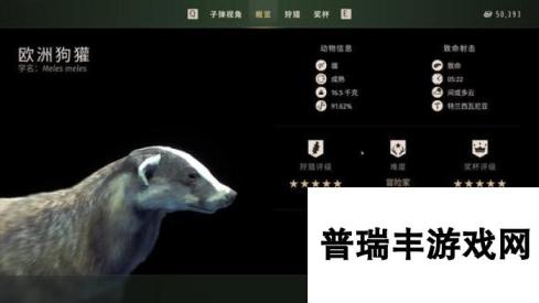 狩猎之道五星欧洲狗獾怎么捕猎